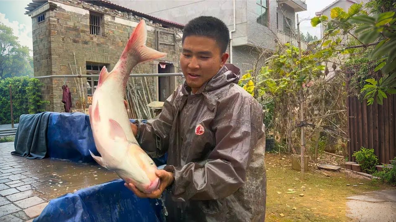 山裡養魚的年輕人，今天接到大訂單，4塊5一斤打算全部賣掉 #新農人計劃2024 #戶外抓魚 #養魚人