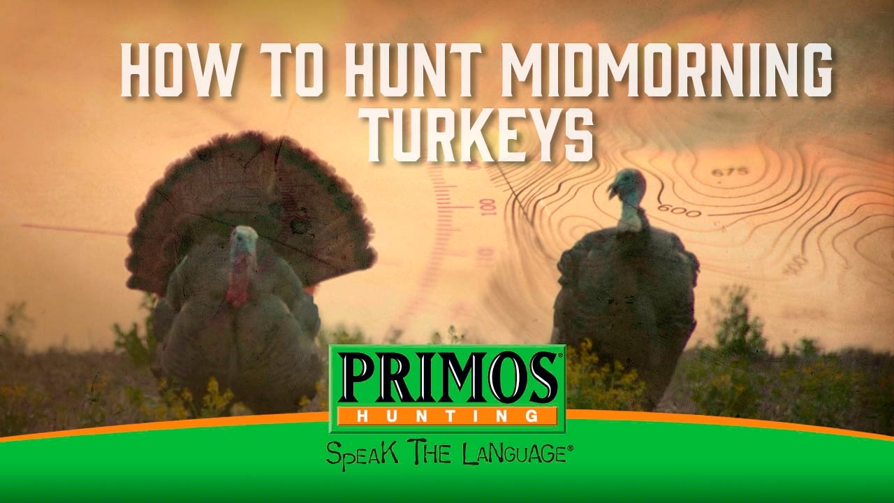 How to Hunt MidMorning Turkeys