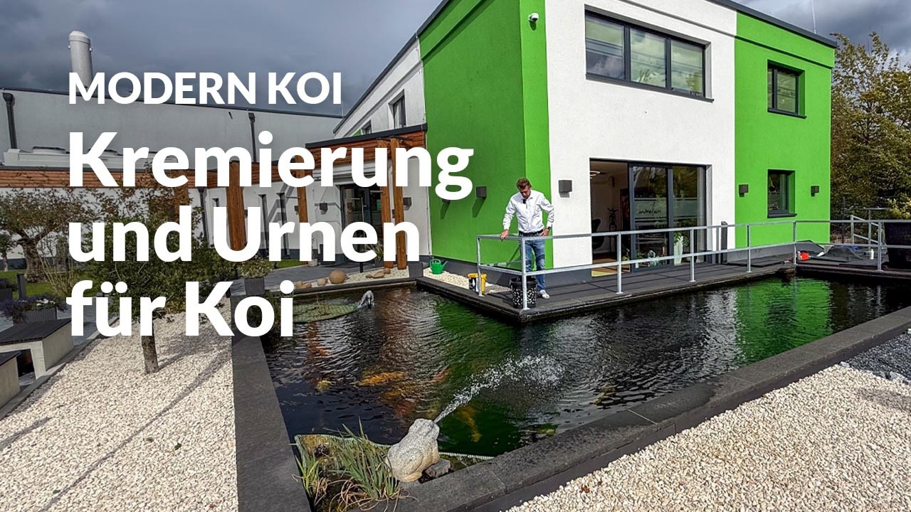 Saschas Teich am Tierkrematorium Animalium | Nowoczesny blog o Koi #8017