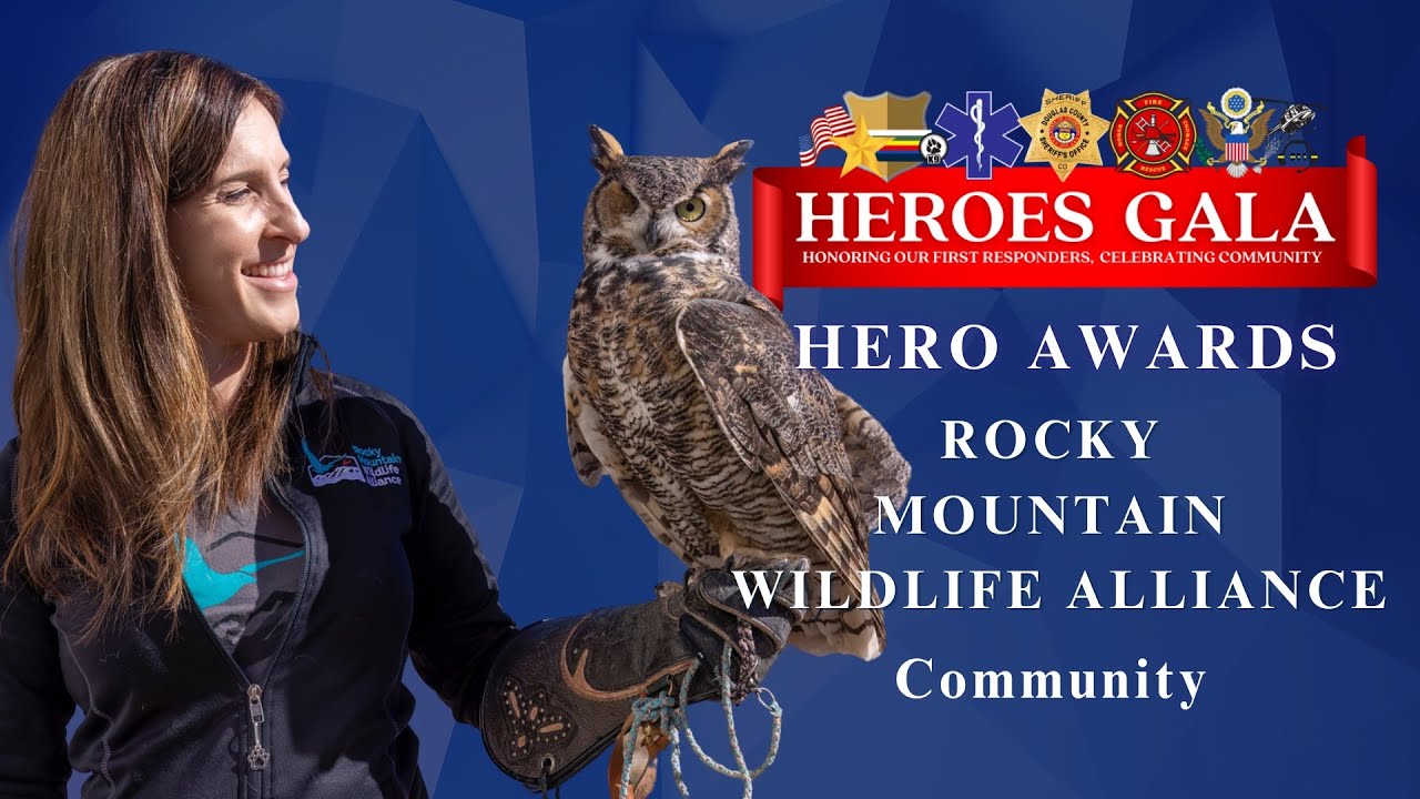 2024 Hero Award Winner - Rocky Mountain Wildlife Alliance - Community