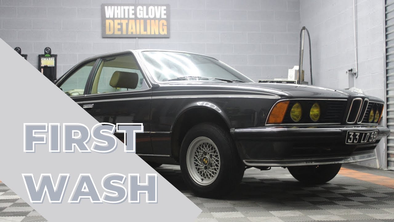 BMW E24 635 CSI: First wash