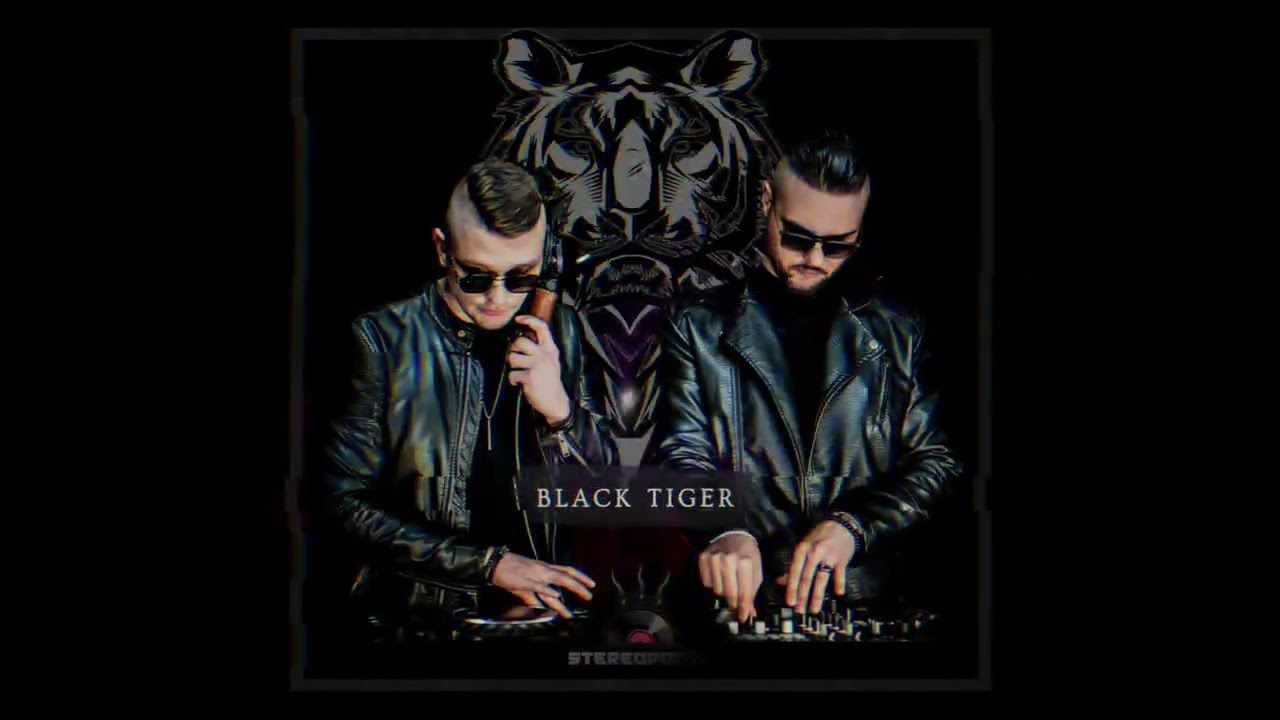 Stereoporno - Black Tiger