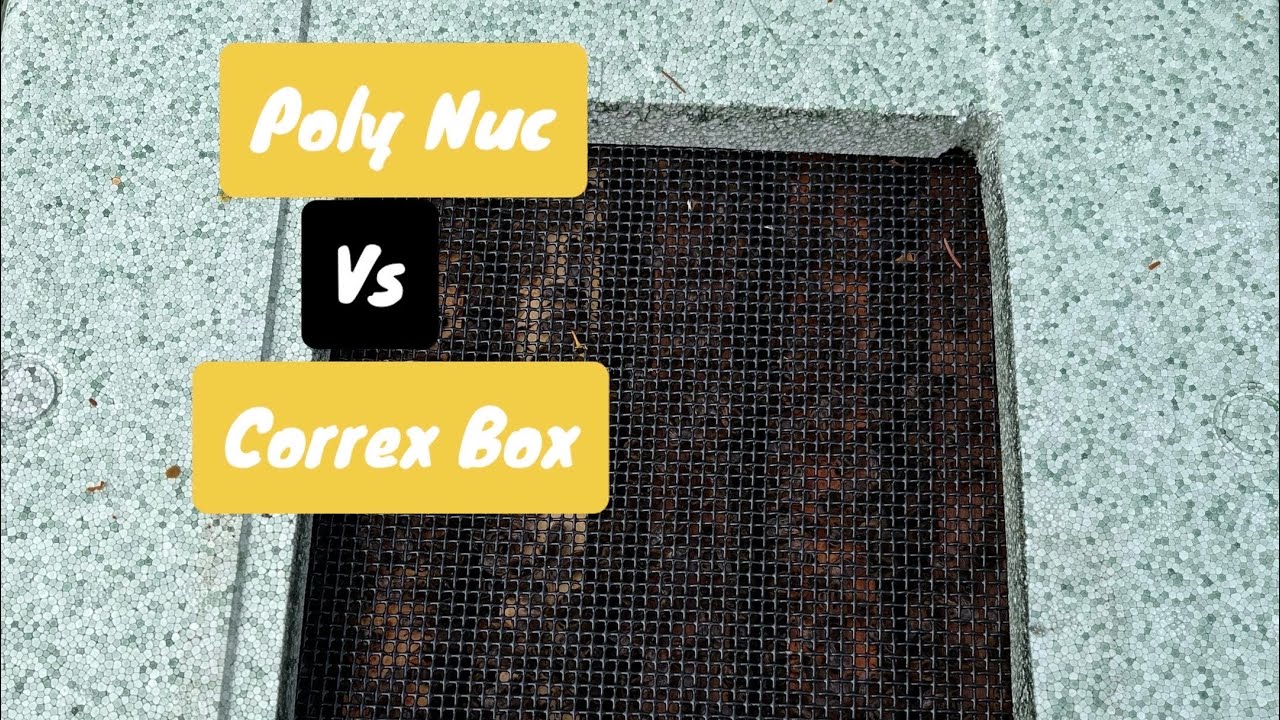 Poly nuc vs correx box?