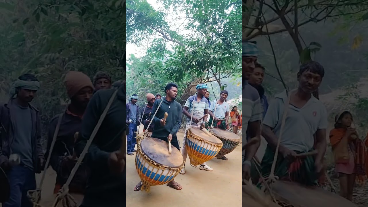 Santali Culture program short video #bijumarndi #shorts #santali #santal #minivlog #prabha