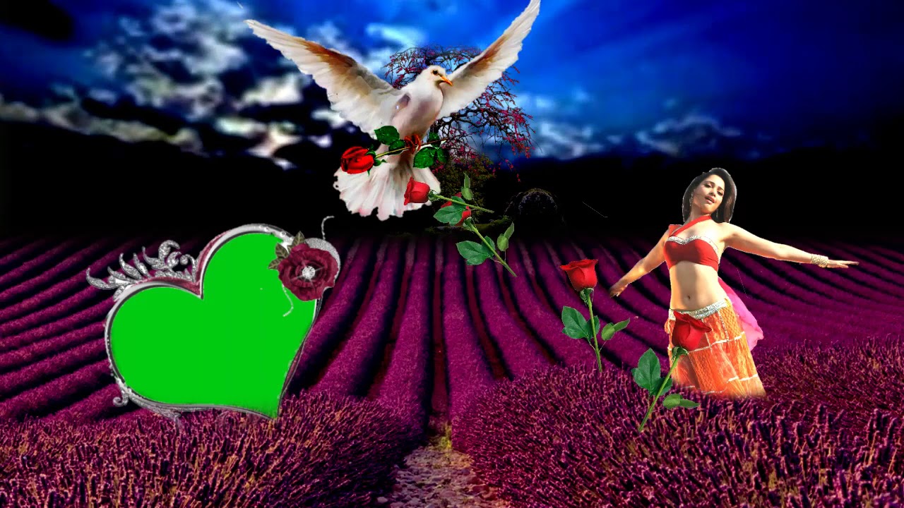 Wedding  green screen  effects  HD video & top10 effects  background 2019