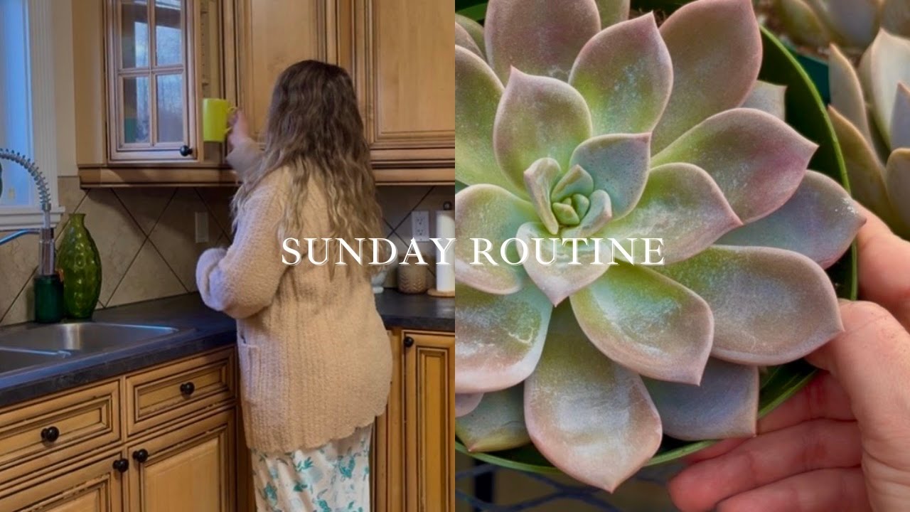Sunday Routine