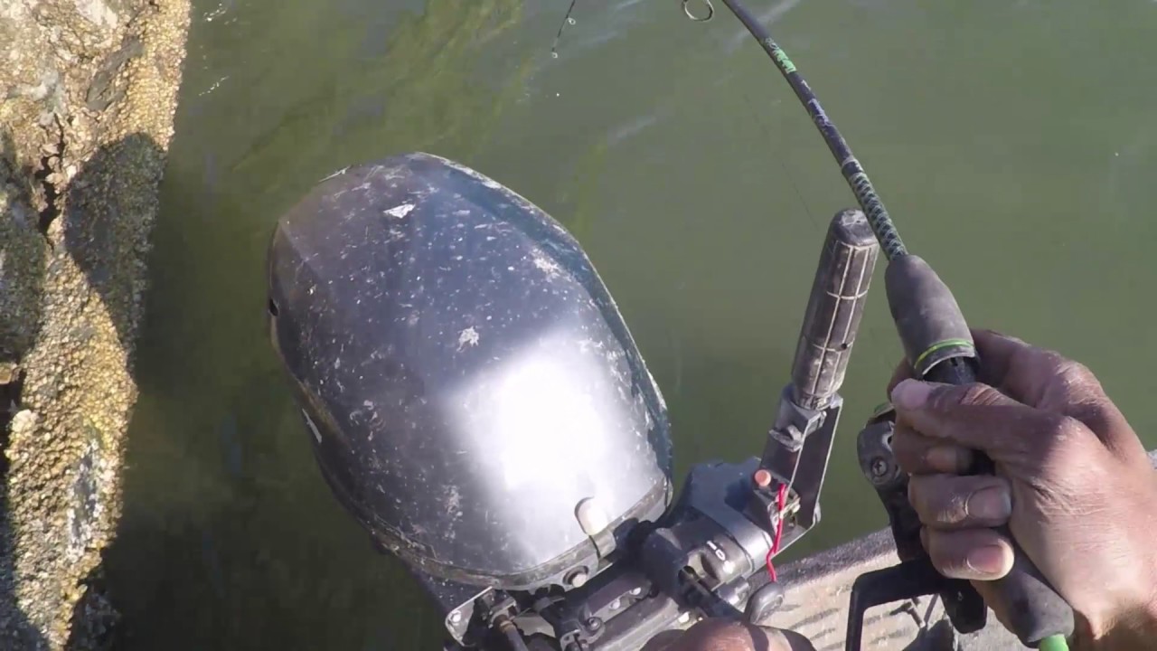 Fishing in March for Sheepshead & Whiting 3/5/2017