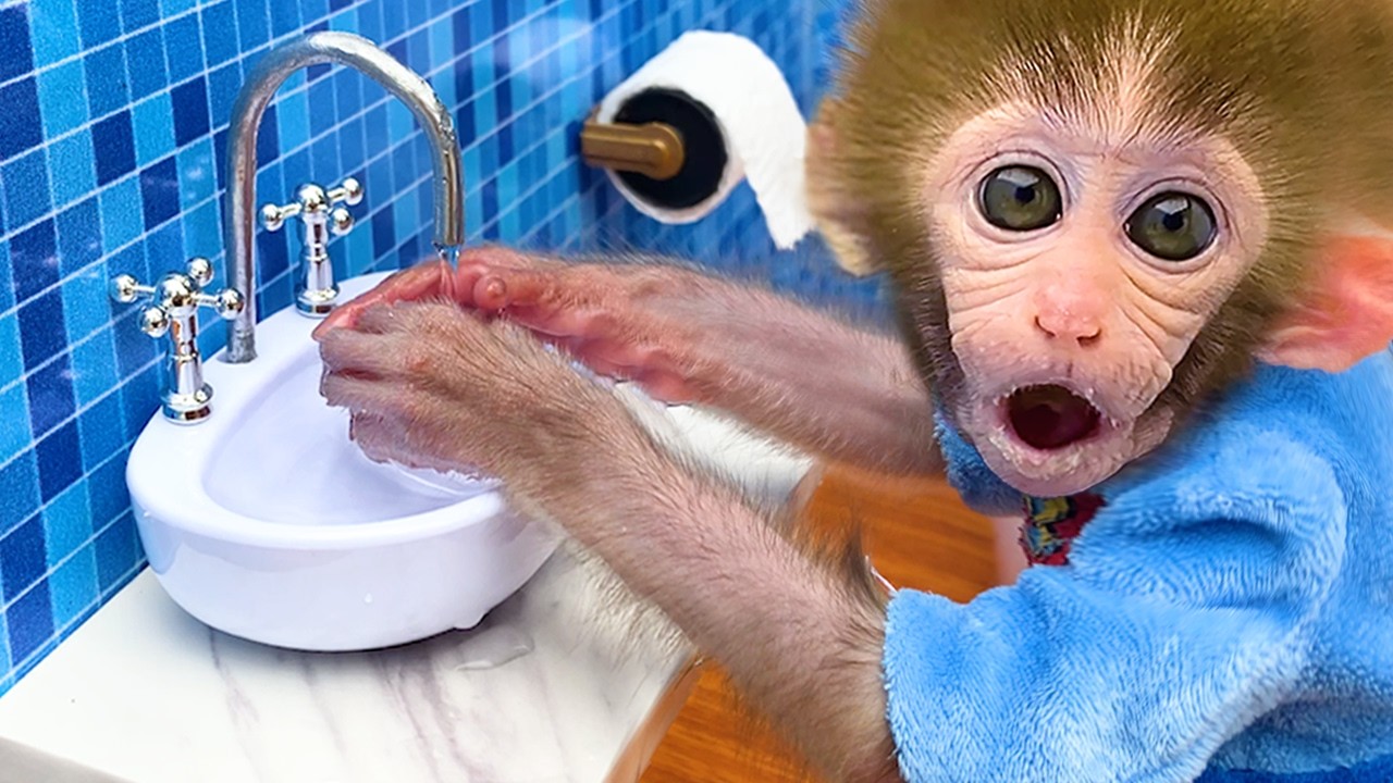Monkey Baby Shark | Nursery Rhymes & Kids Songs |Bobby Kids Songs
