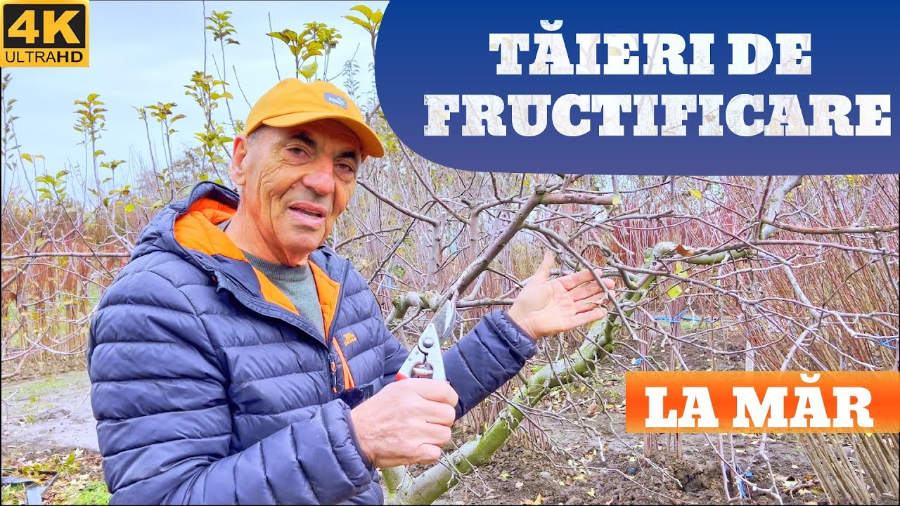 Taieri De Fructificare Pentru a Evita Alternanta De Rodire!🌱