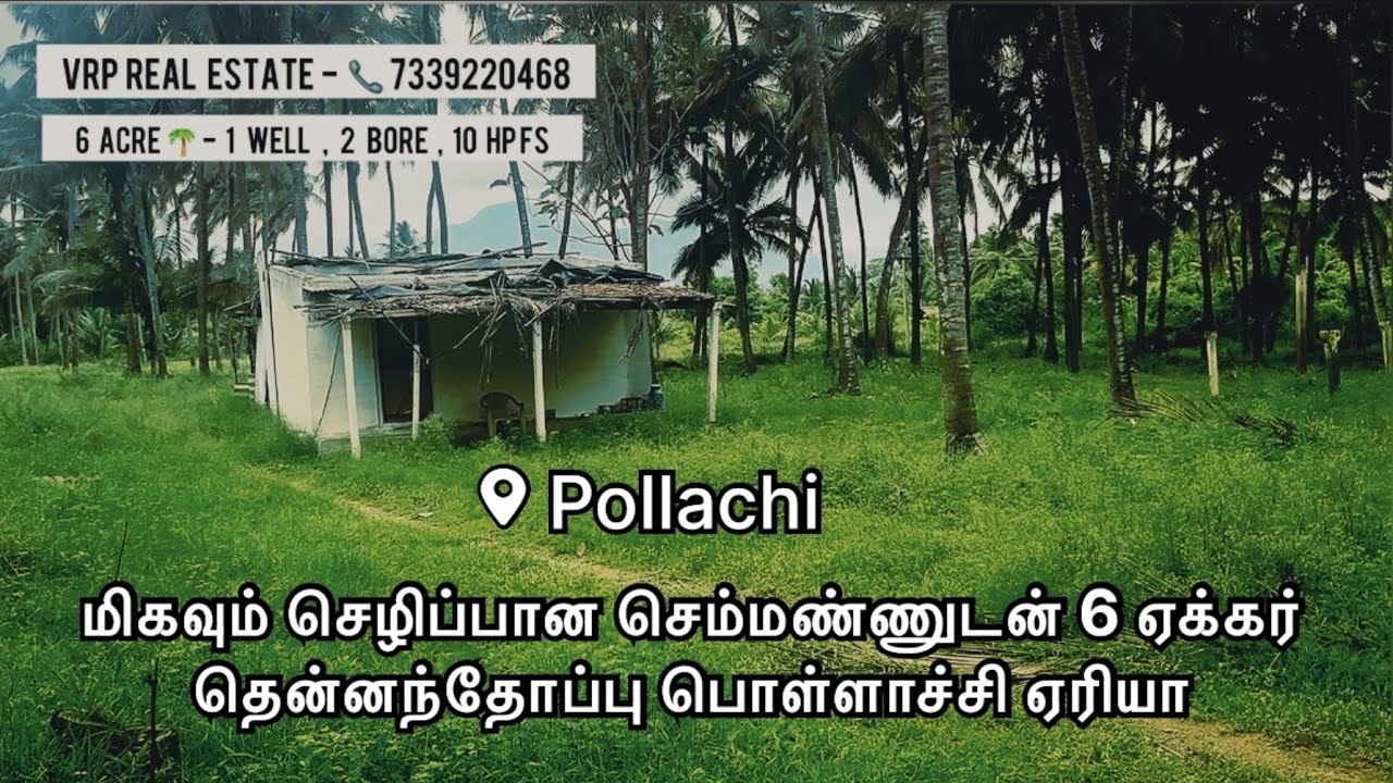 6 ஏக்கர் பூமியில் தென்னந்தோப்பு மற்றும் empty land விற்பனைக்கு 🤩| contact no : 7502636683,7339220468