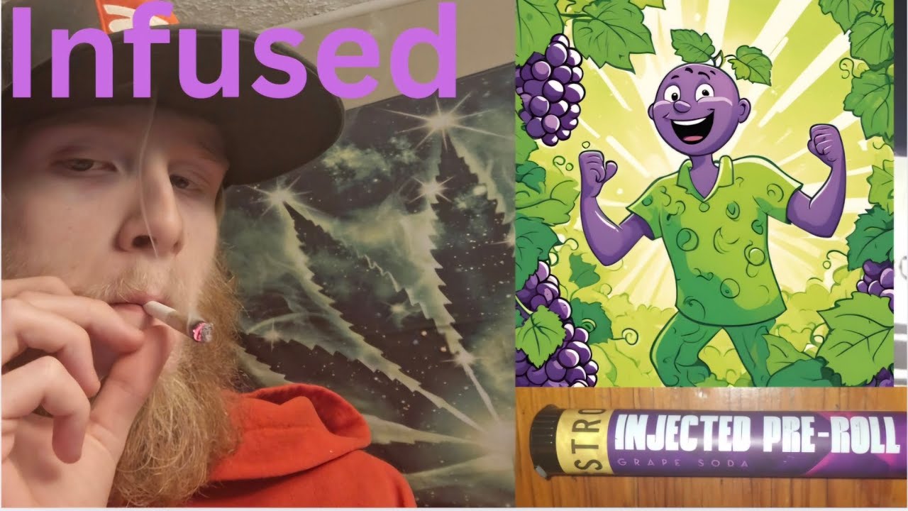 infused pre roll review #trending #prerolltubes #reccomended #cannabiseducation #foryou