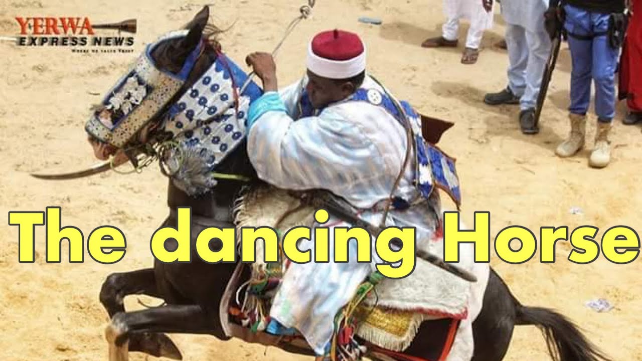 The Kanuri dancing horses. Amazing!