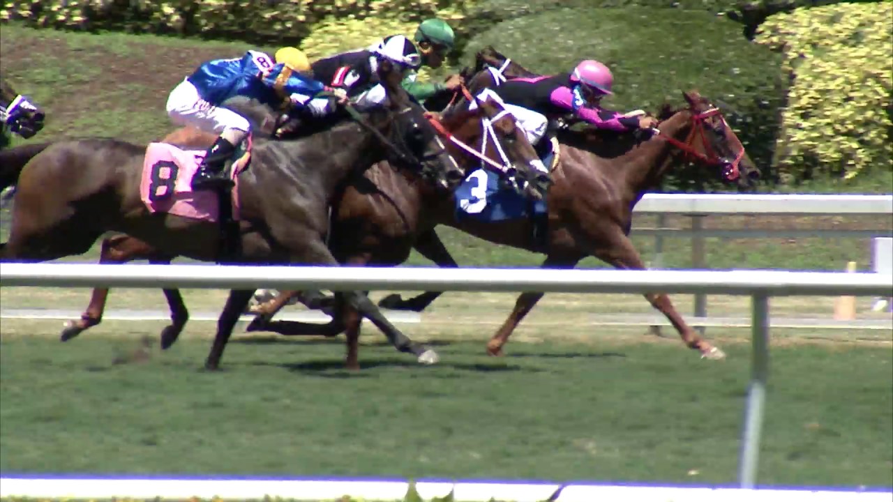 Gulfstream Park Replay Show | June 22, 2017