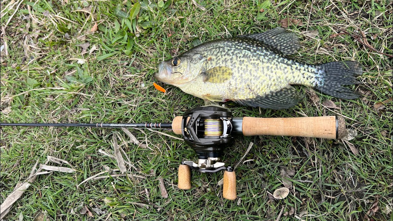 Crazy Crappie