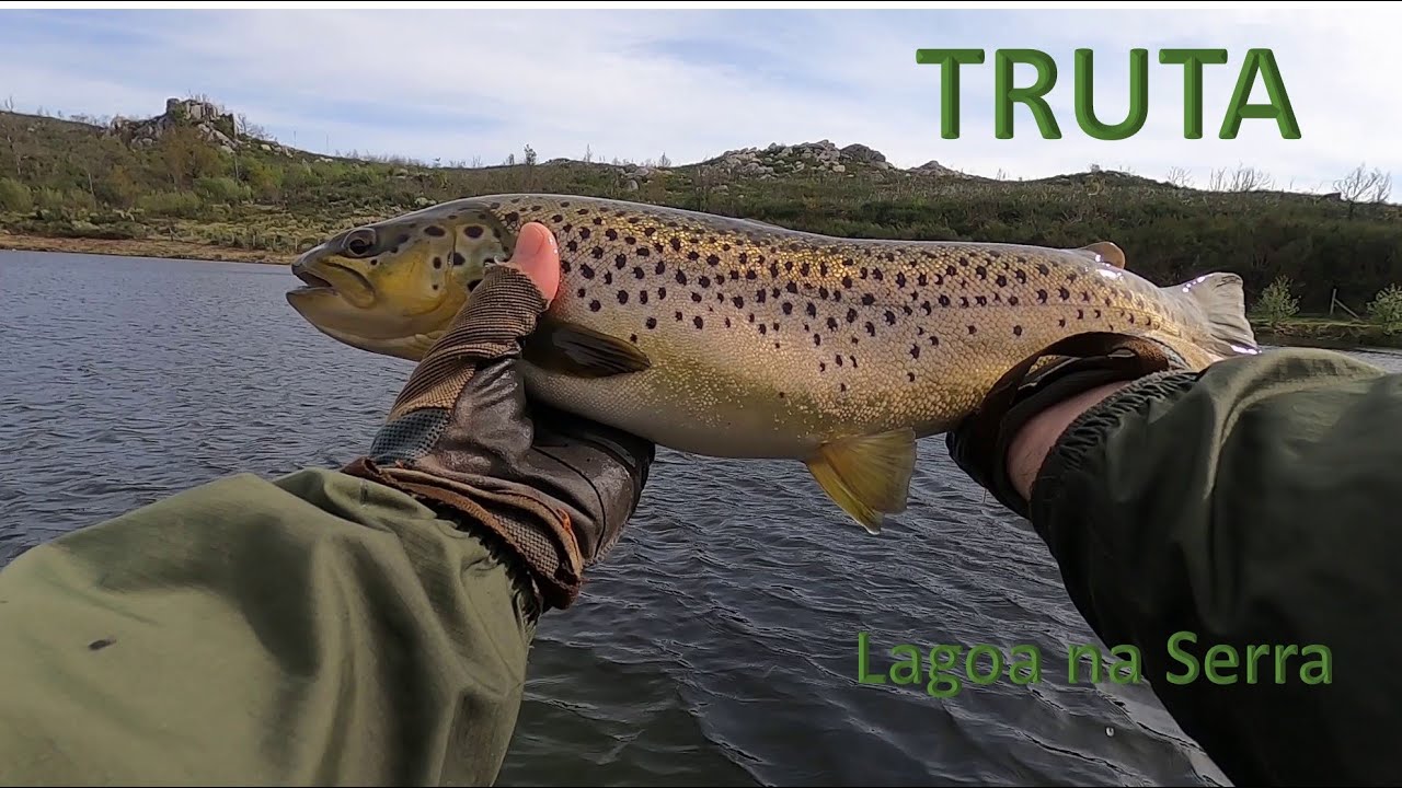 TRUTA