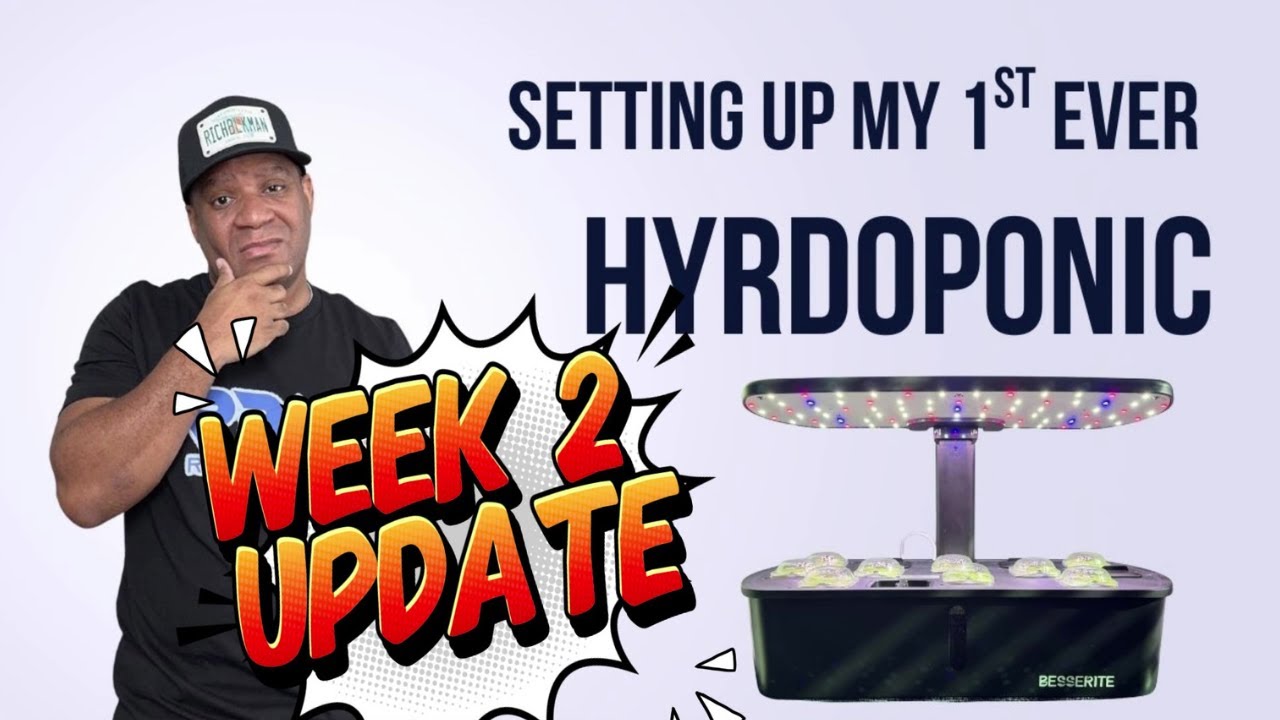 Обновление за 2-ю неделю гидропоники: ПЕРВЫЙ УРОЖАЙ и дегустация! Невероятный рост из семян.