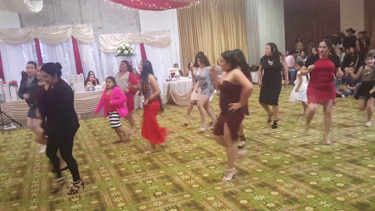 Concurso de caballo Dorado Wilmington north Carolina  lmc-entertaiment-djjm