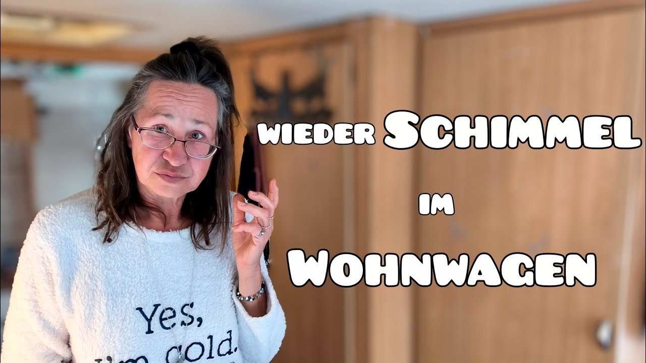 Wieder Schimmel im Wohnwagen entdeckt & wie ich ihn beseitige | Wohnen auf dem Campingplatz*
