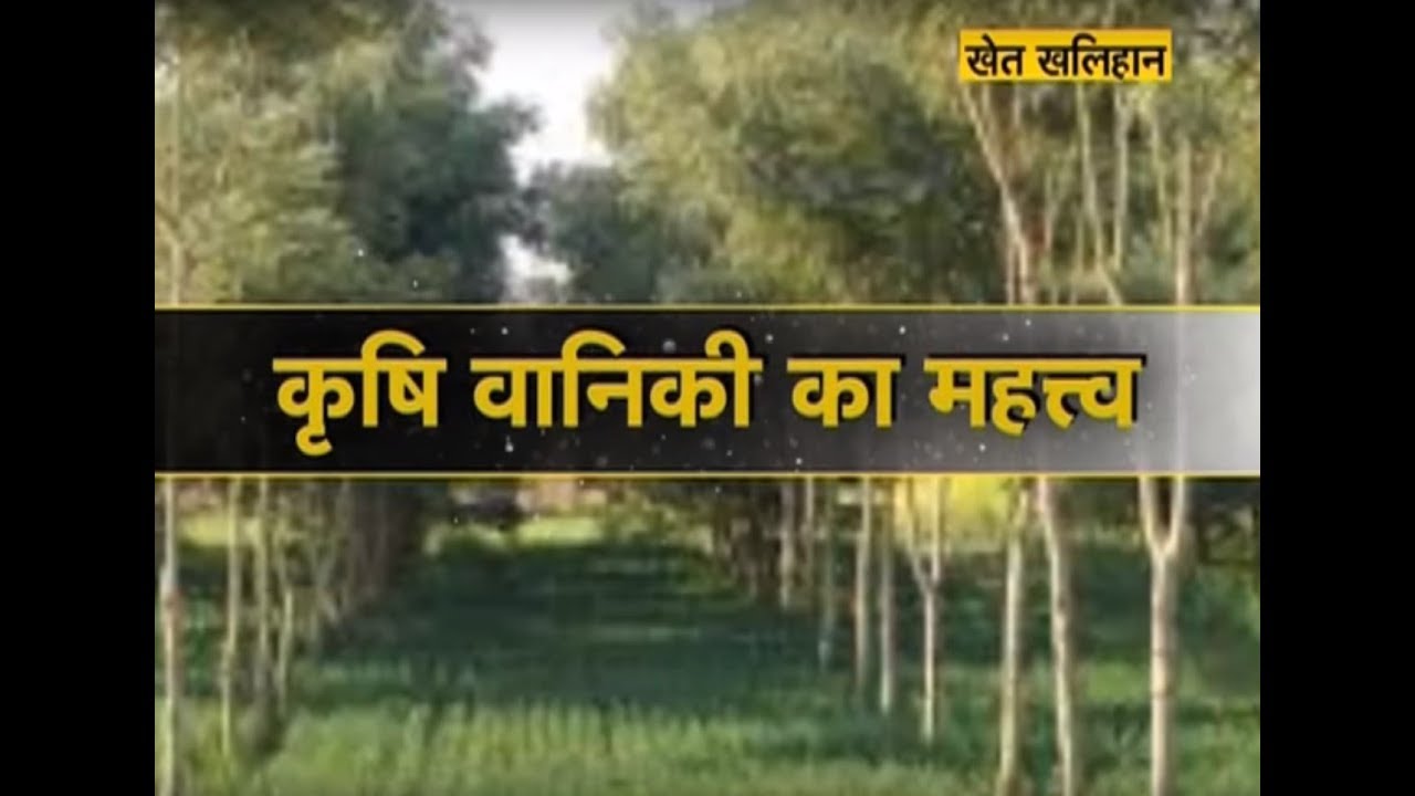 Khet Khalihaan - कृषि वानिकी का महत्व
