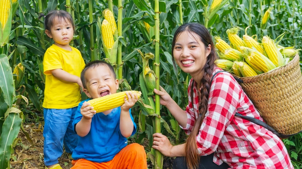 Harvesting Giant Corn, Boiling It & Selling at the Market with My Little Daughter