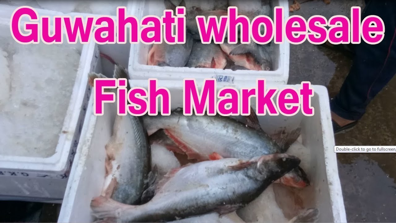 Guwahati wholesale Fish Market