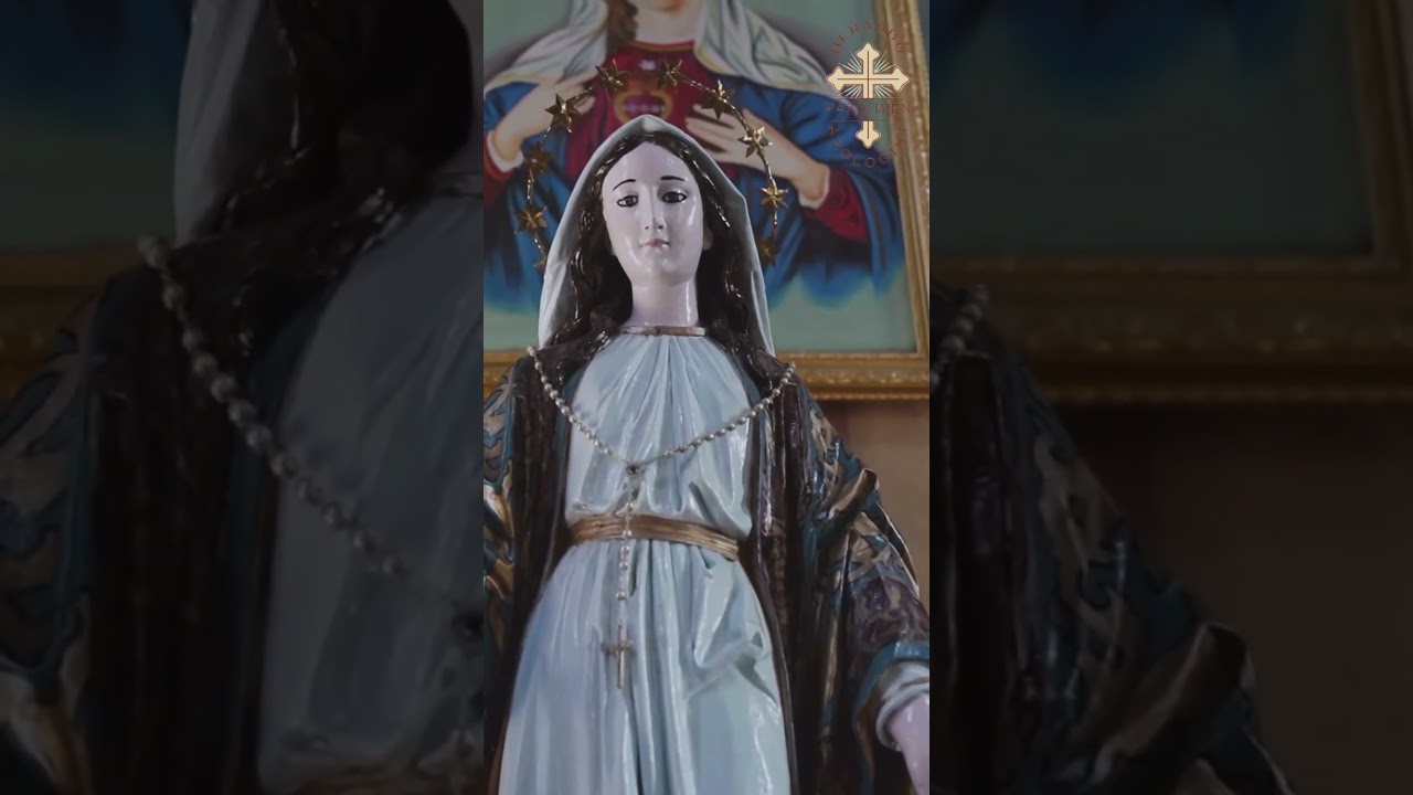 Dogmas Marianos #fyp #diosteama #virgenmar&iacute;a