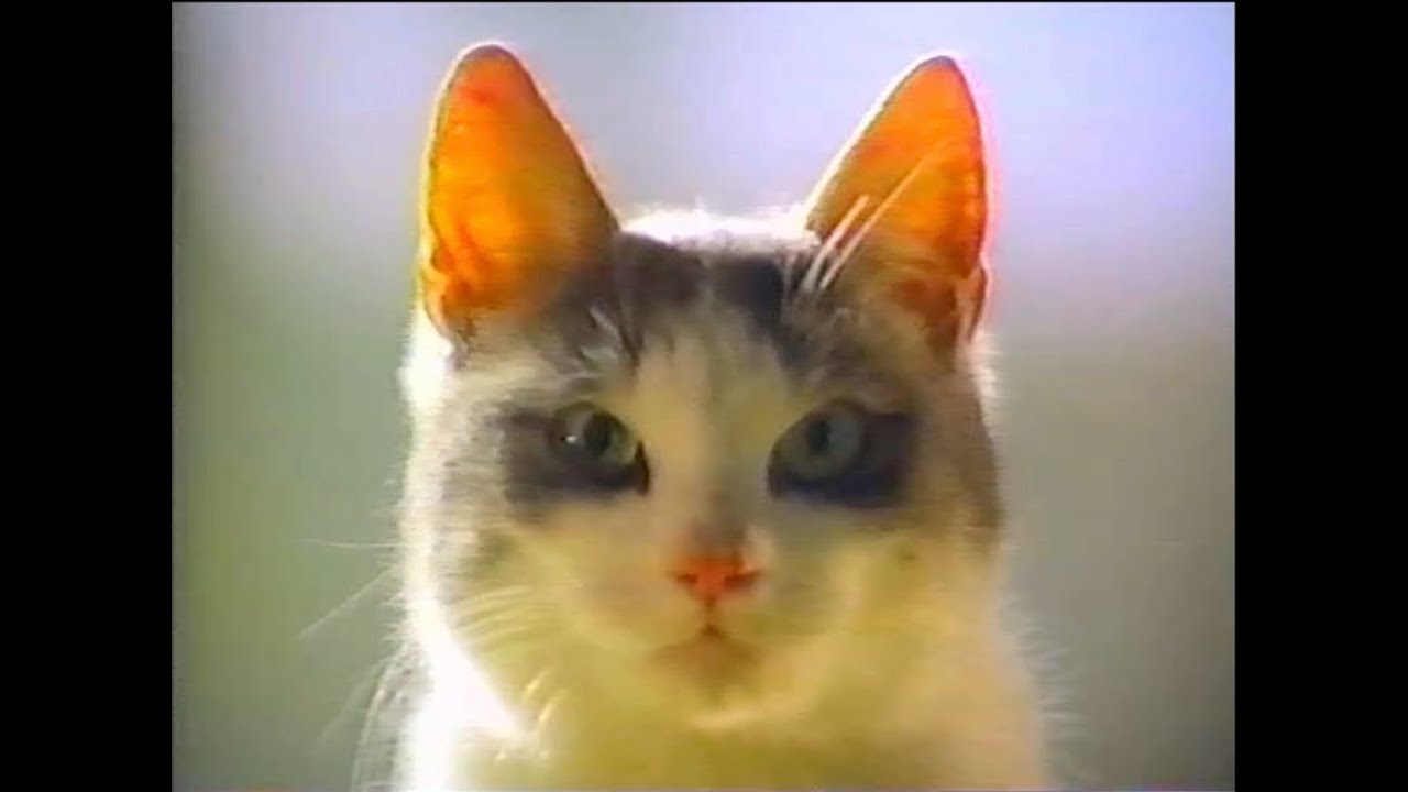 Amore' - [90's TV Commercial]