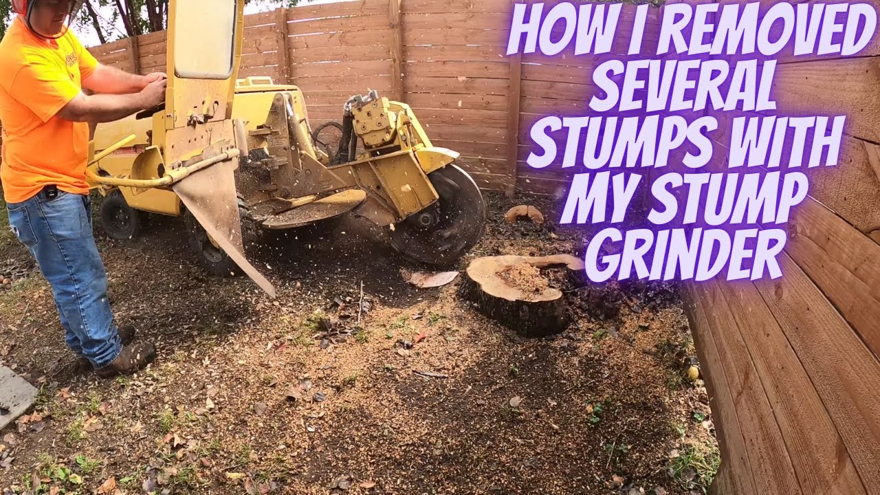 How I Removed Several Stumps with a Stump Grinder