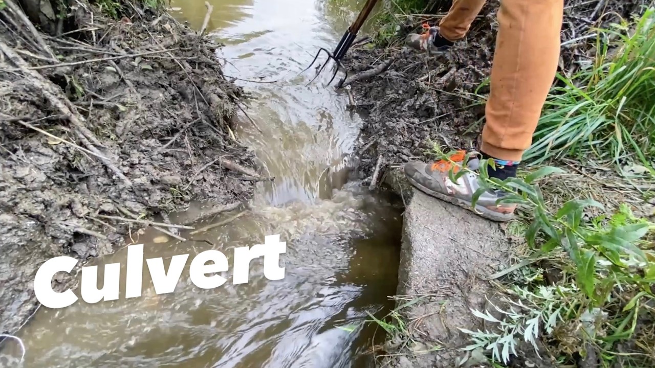 Pure Sound of Beaver Dam Removal Nr. 2