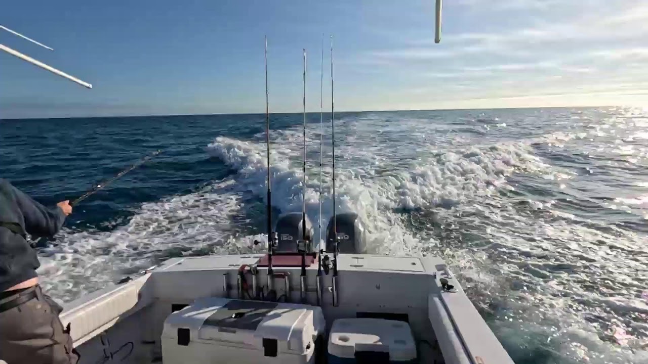 Solo Offshore fishing in the Gulf Of America