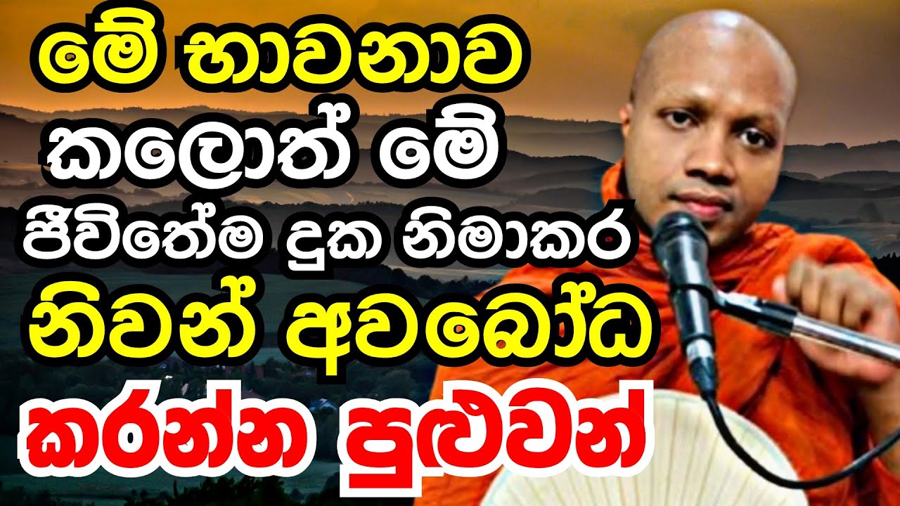 මේ භාවනාව කලොත් මේ ජීවිතේම දුක නිමාකර නිවන් අවබෝධය ලබන්න පුළුවන්|Ven Hasalaka Seelawimala Thero 2025