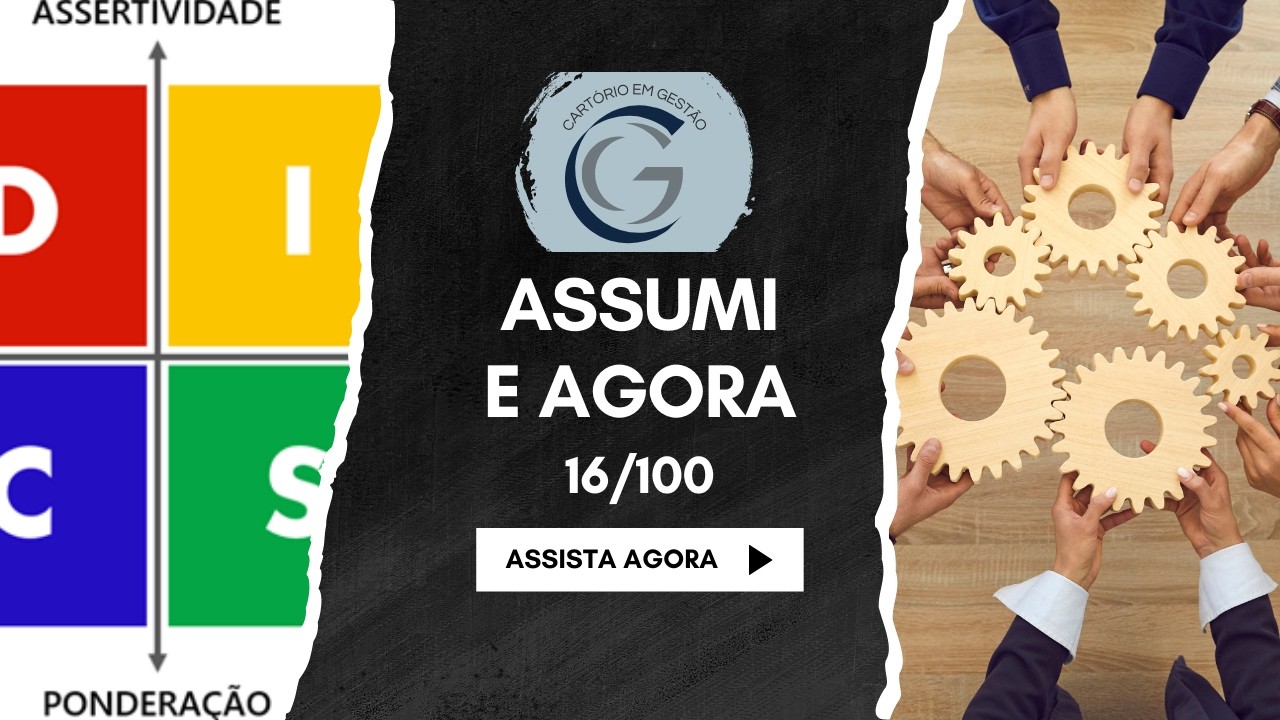 Assumi e Agora 16/100 - Perfil Comportamental (DISC)