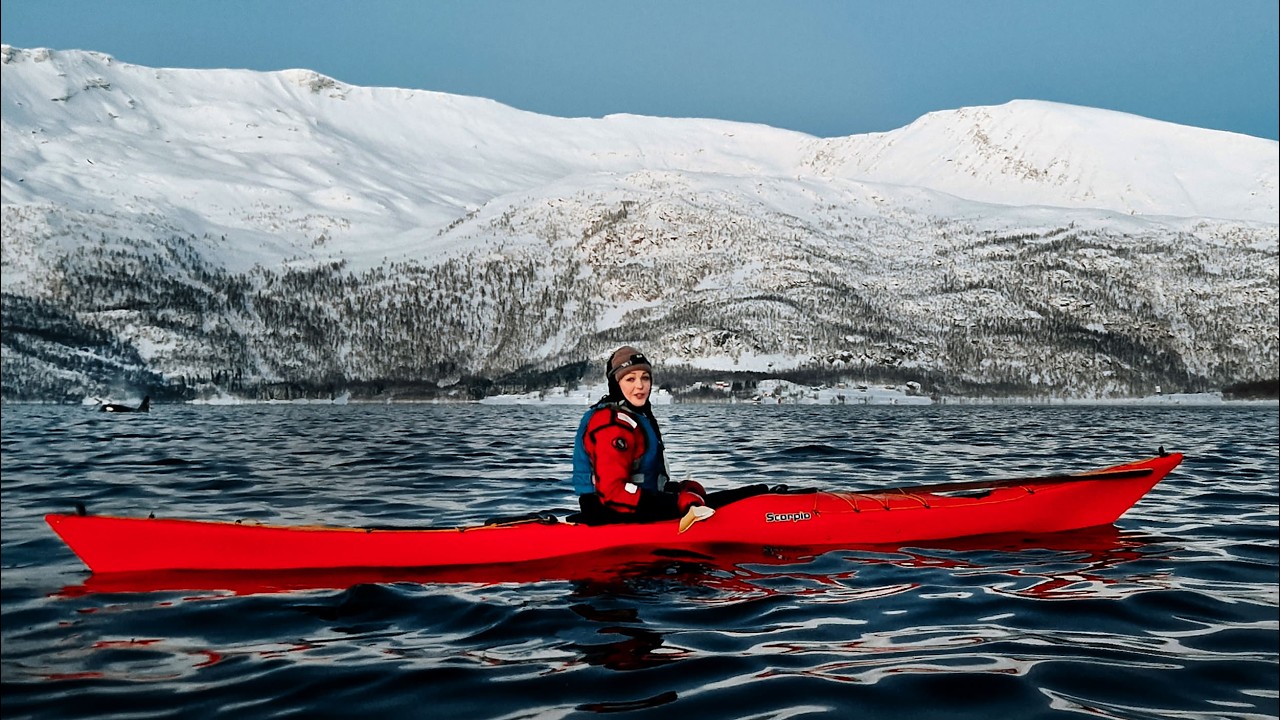 A rare winter encounter kayaking with whales in Northern Norway