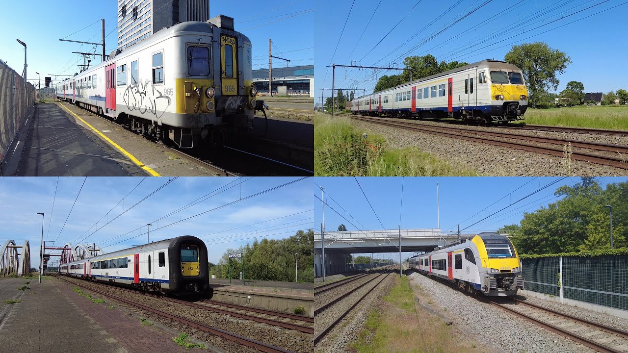 MS70CR (Cityrail) - MS80 (Break) - MS96 (DMT) - MS08 (Desiro) | 2023