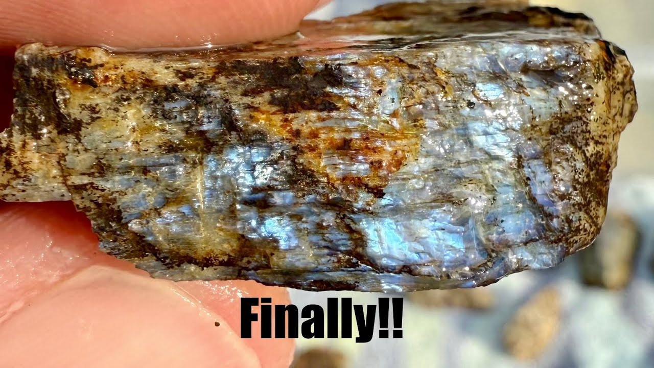 Выходные в Wisconsin Moonstone! Часть 1: Крупный улов!