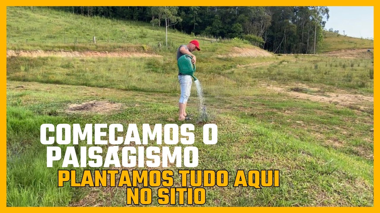 Iniciamos nosso paisagismo no sítio🌱 | Animais se adaptando 🐷🐓🌸🌼