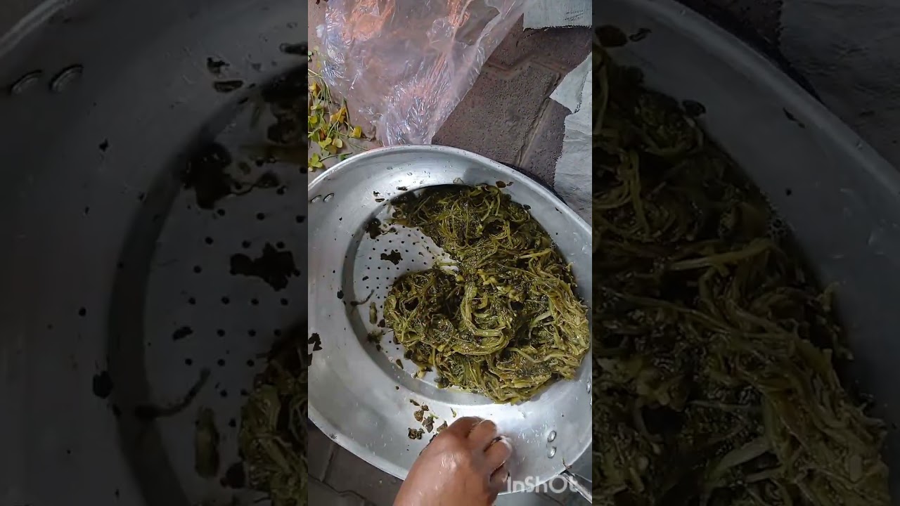 هادي اكلتنا اليوم يلي عجبته يعلقلي  بتعليق حلو 