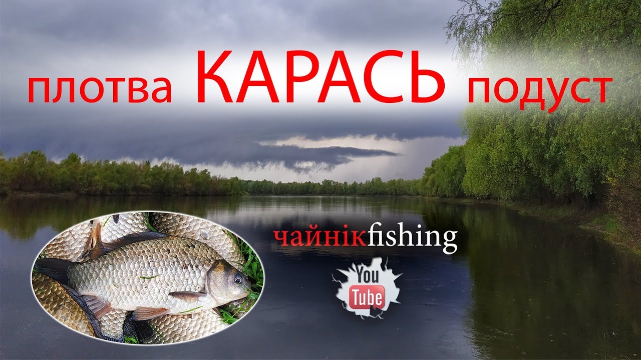 Полное видео. Десна, Боденьки. Рыбалка с ночевкой 7-8 мая 2019, крупный карась.