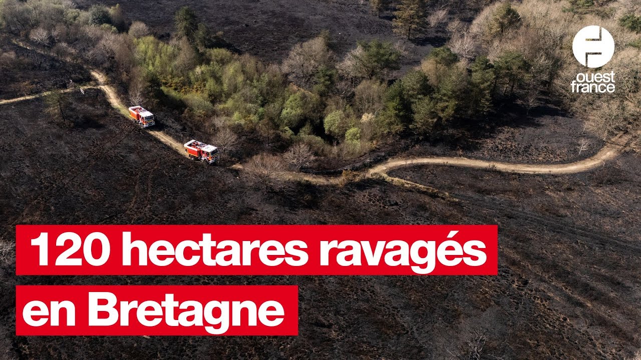 Un important incendie a ravagé 120 hectares dans les Côtes-d’Armor