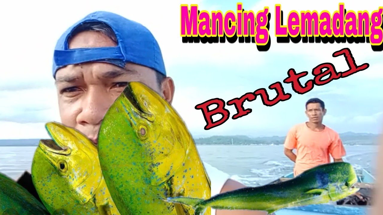Mancing Lemadang || Teknik Handline