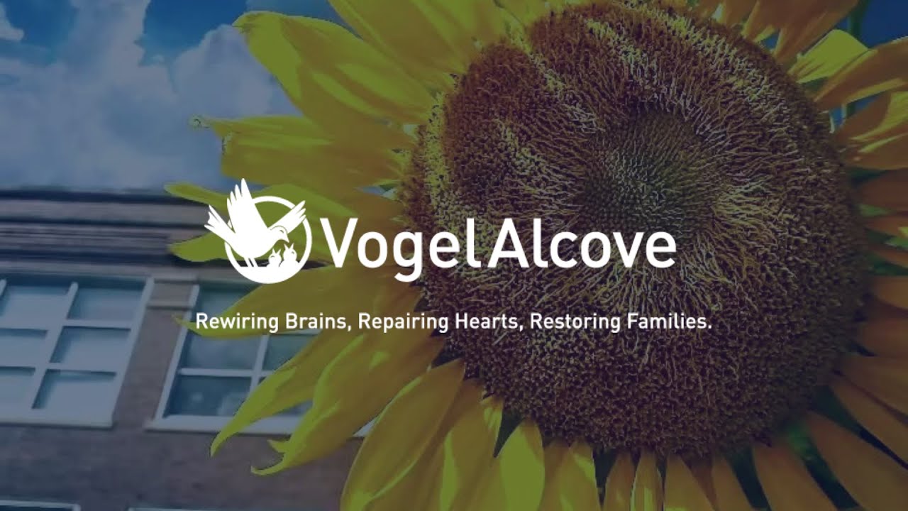 VOGEL ALCOVE 2022