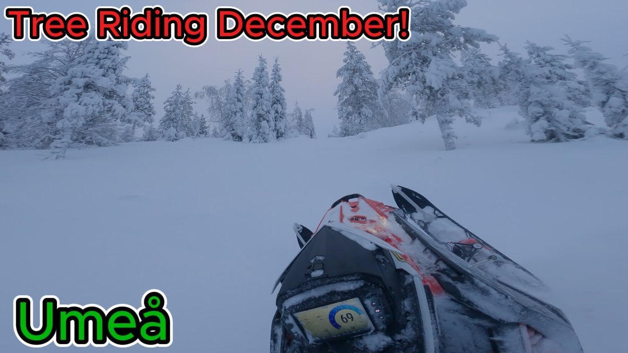 Polaris 9R 146 deep Snow Umeå Wheelies On Christmast day !