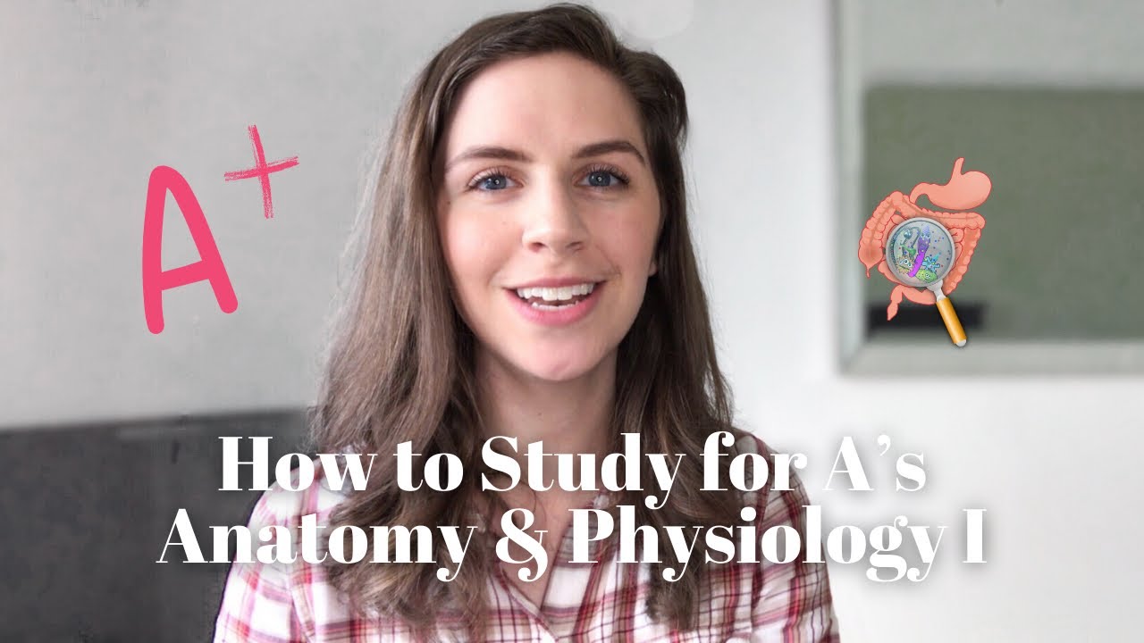 How to Study for Anatomy & Physiology I [ Plus FREE Flashcard Download ]