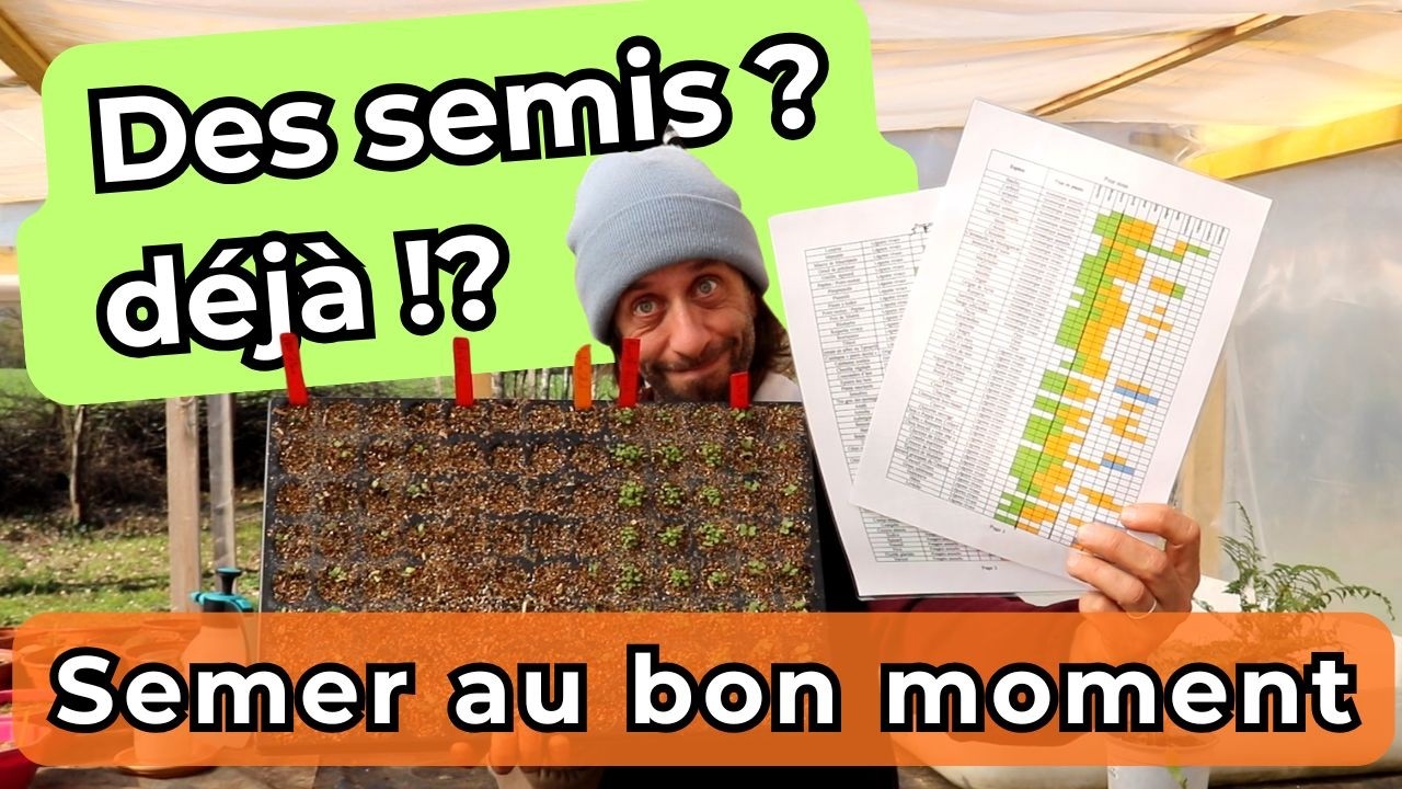 Ne ratez plus vos semis grâce à cet outil GRATUIT !