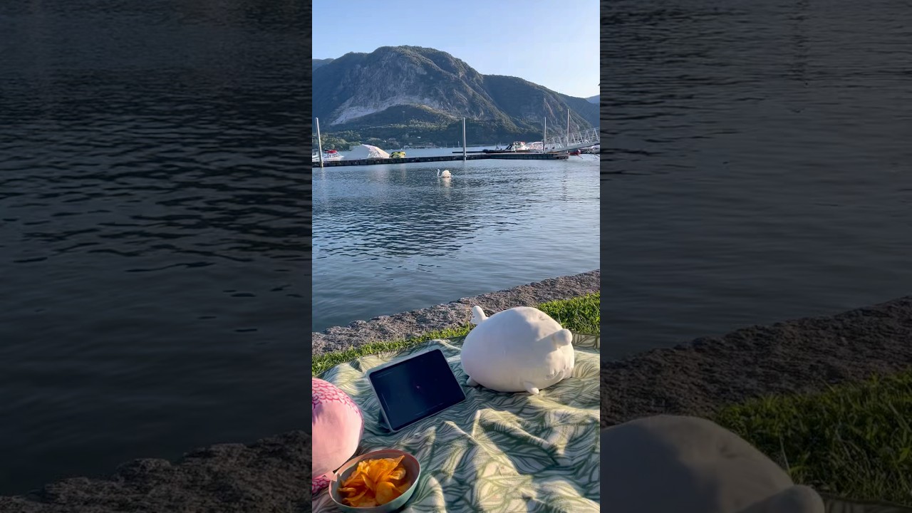 Mit meiner Schwester picknicken 🌸 #picnic #schwester #sister #urlaub #netflix #movie #movienight
