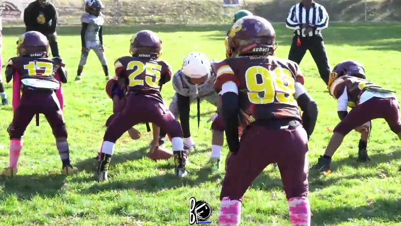 Steel Valley vs Sto rox (8u semifinal playoff game) 10-26-24