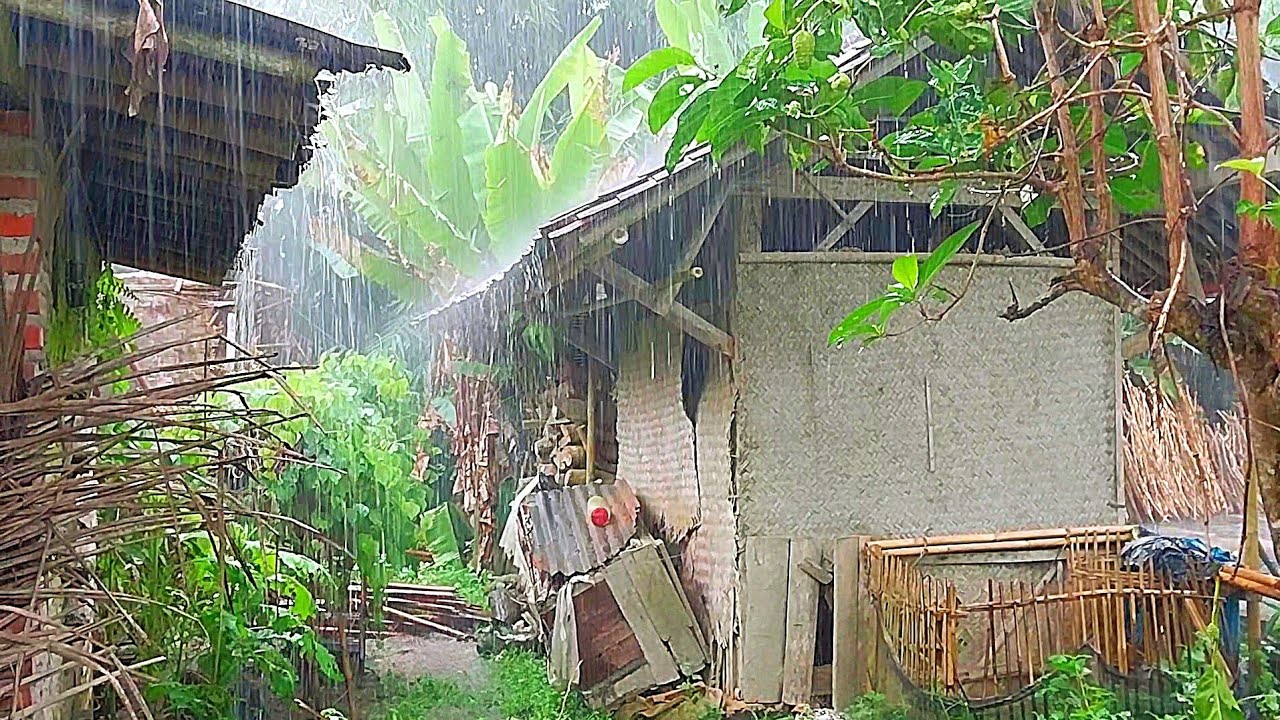 Walking In  Heavy Rain and Terrifying Lightning In Rural Indonesia | very Cool and Calming | ASMR