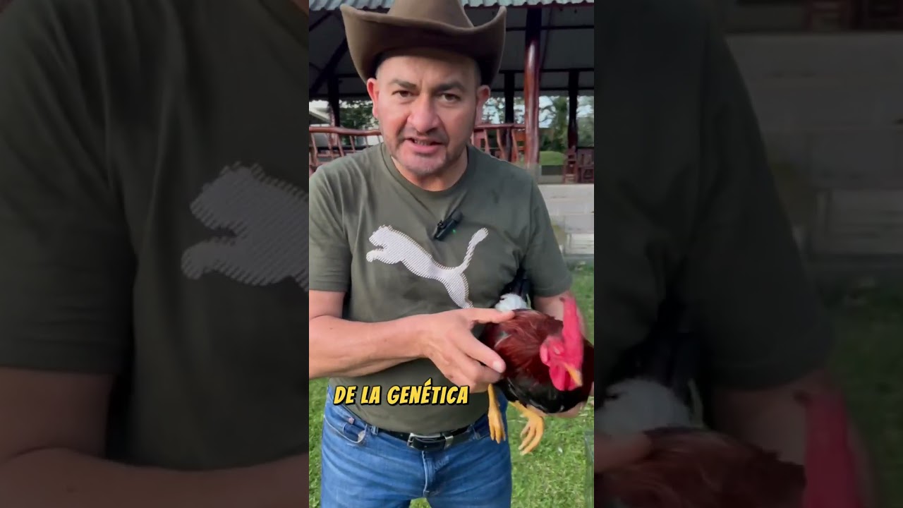 20 de mayo de 2025