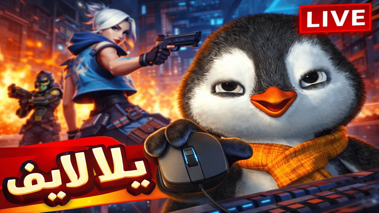 🔴 يلا لايف 🐧 فالورانت مع البطريق