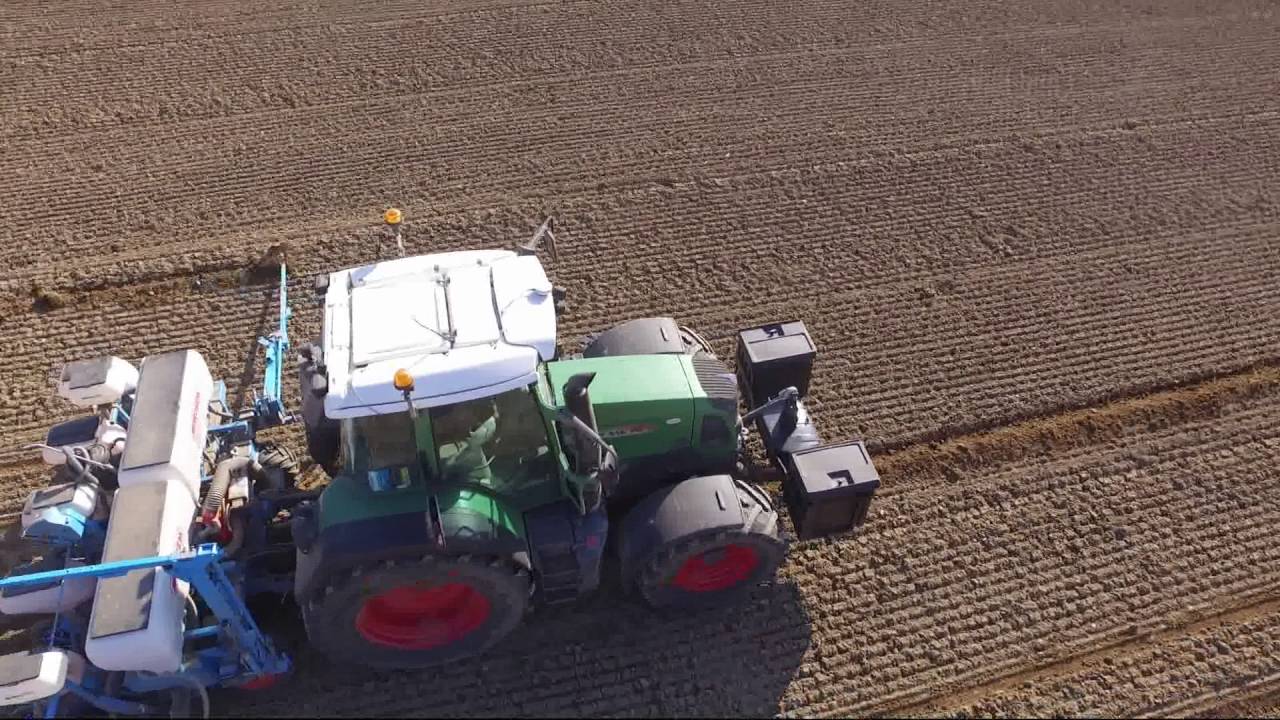 semis de ma&iuml;s 2016